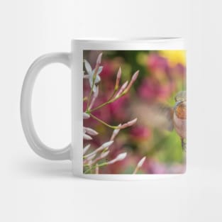 Reflection Mug